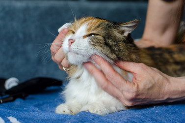 Similar image 21519928