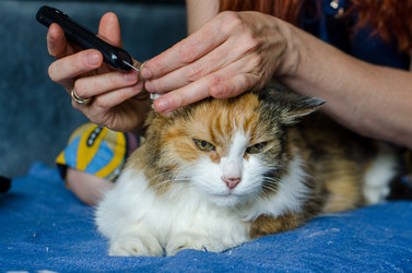 Similar image 21519929