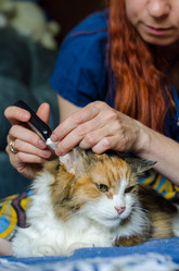 Similar image 21519930