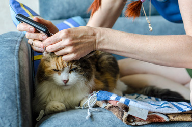 Similar image 21519932