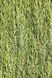 Similar image 21520450