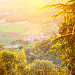 Similar image 21520548