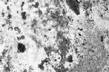 Similar image 21520573