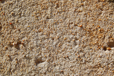 Similar image 21520577