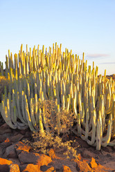 Similar image 21520581