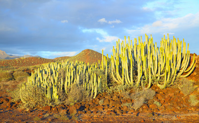 Similar image 21520583