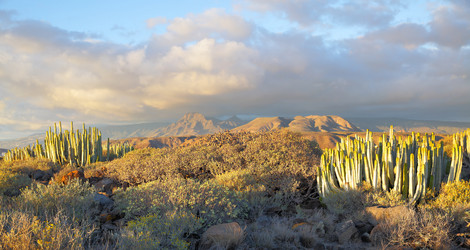 Similar image 21520584