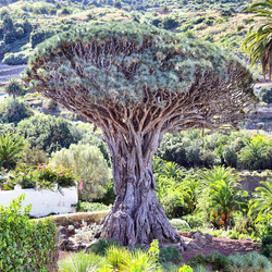 Similar image 21520409