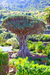 Similar image 21520410