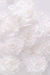 Similar image 21519560