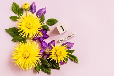 Similar image 21519563