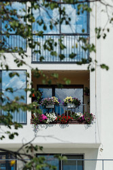 Similar image 21520987