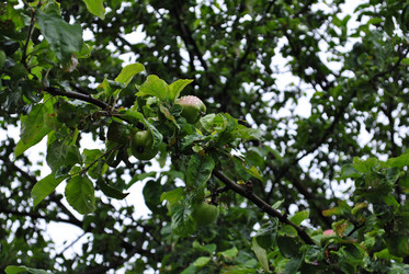 Similar image 21519943