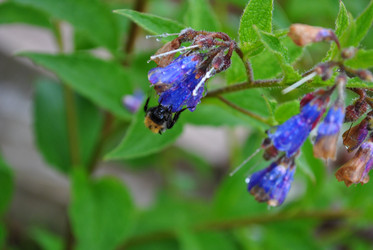 Similar image 21519944