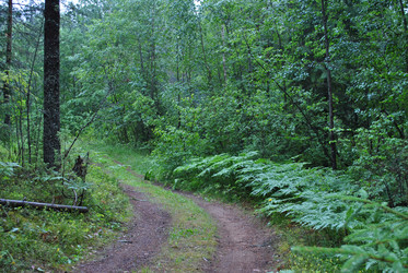 Similar image 21519945