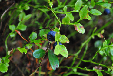 Similar image 21519946