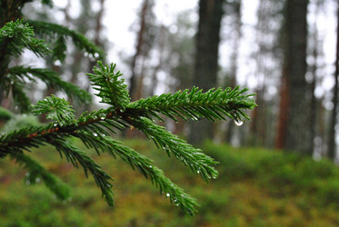 Similar image 21519947