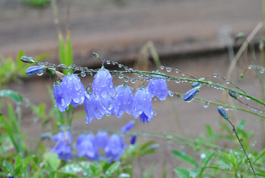 Similar image 21519948