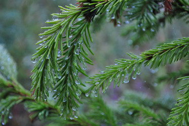 Similar image 21519949