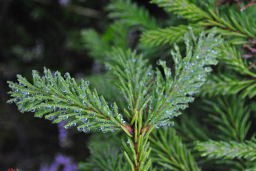 Similar image 21519950