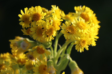 Similar image 21521207