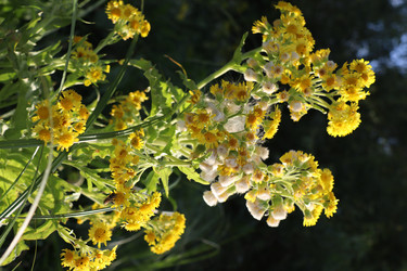 Similar image 21521208