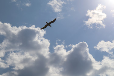 Similar image 21521209