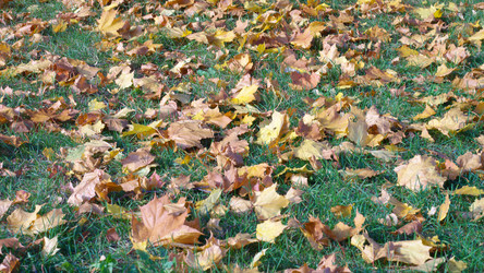 Similar image 21522996