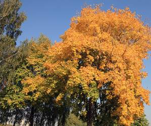 Similar image 21522997