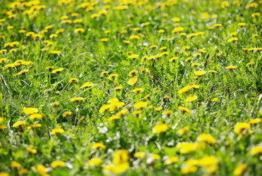 Similar image 21522998