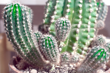 Similar image 21521000