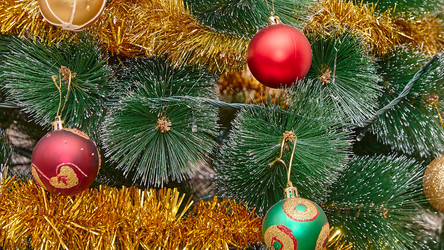 Similar image 21521001