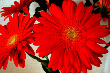 Similar image 21521002