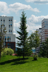 Similar image 21521006