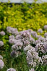 Similar image 21521008