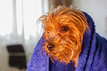 Similar image 21521017