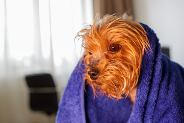 Similar image 21521018