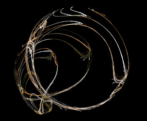 Similar image 21523020