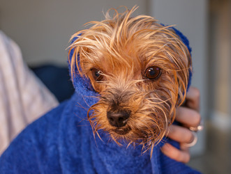 Similar image 21521019