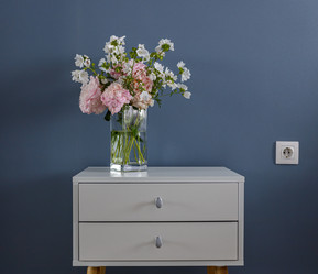 Similar image 21521020