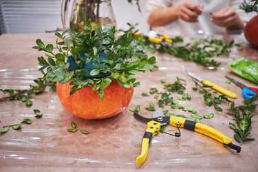 Similar image 21521434