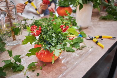 Similar image 21521436