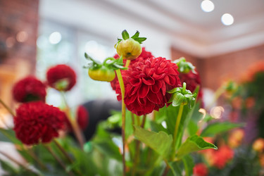 Similar image 21521438