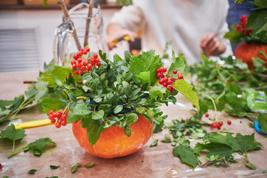 Similar image 21521439