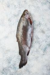 Similar image 21521475