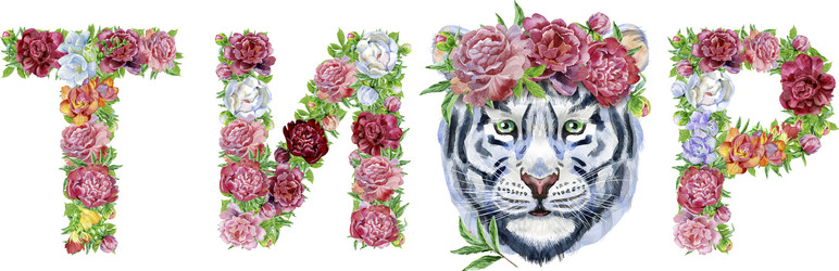 Similar image 21521035