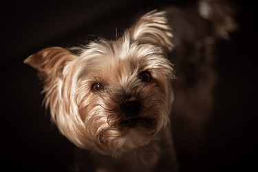 Similar image 21521253