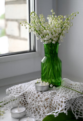 Similar image 21521042