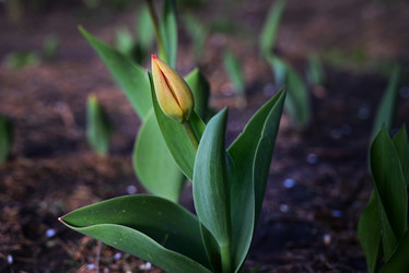 Similar image 21521107