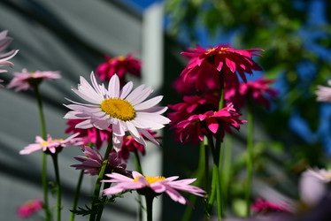 Similar image 21521112